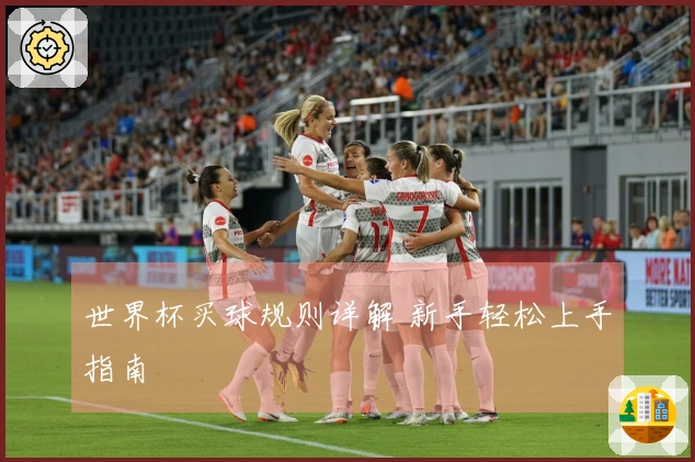 世界杯买球规则详解 新手轻松上手指南