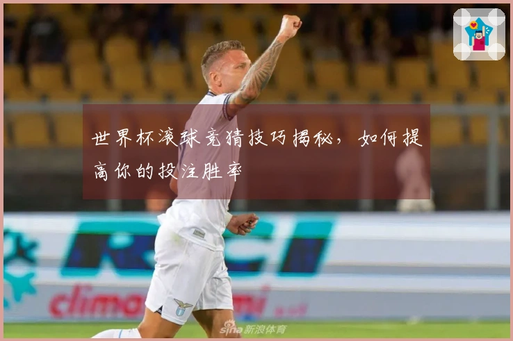 世界杯滚球竞猜技巧揭秘，如何提高你的投注胜率