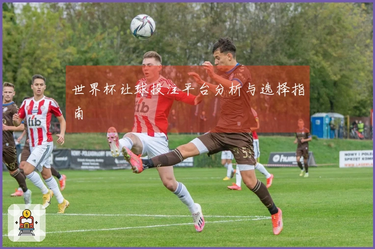 世界杯让球投注平台分析与选择指南