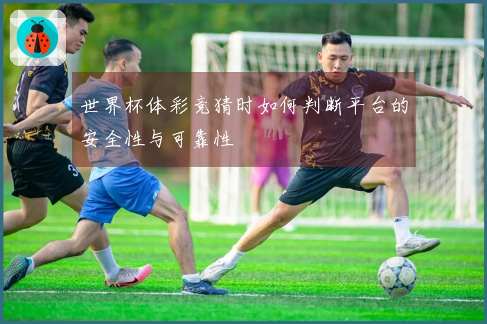 世界杯体彩竞猜时如何判断平台的安全性与可靠性