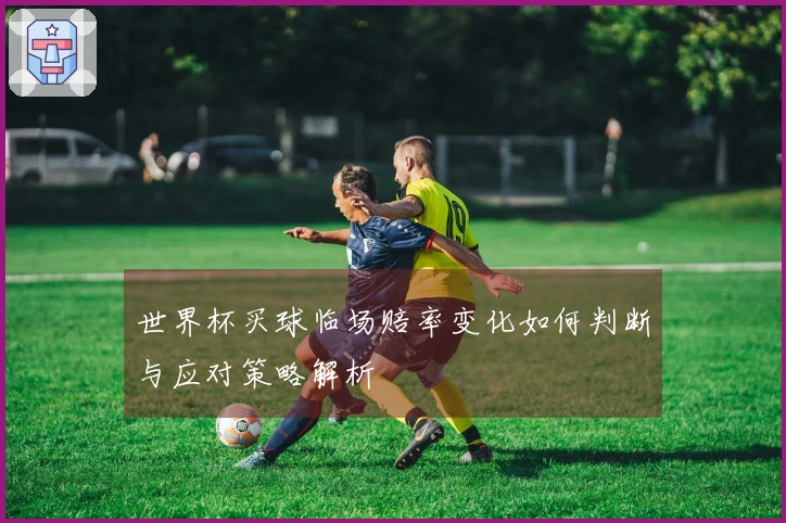 世界杯买球临场赔率变化如何判断与应对策略解析