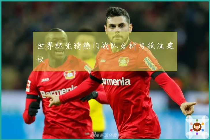 世界杯竞猜热门战队分析与投注建议