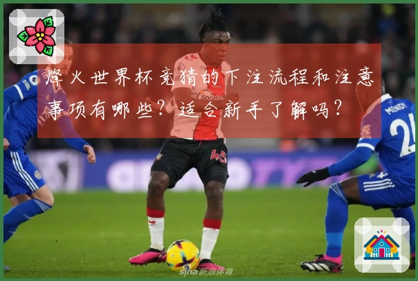 烽火世界杯竞猜的下注流程和注意事项有哪些?适合新手了解吗?