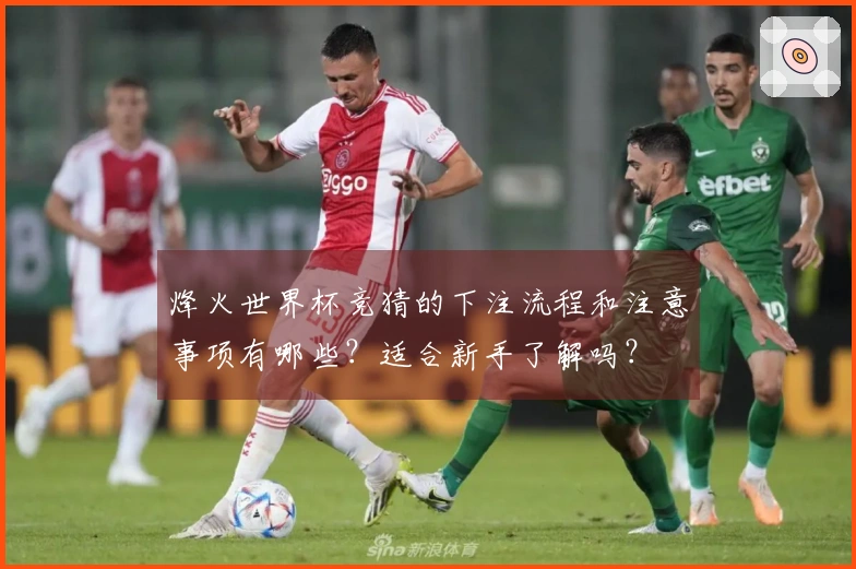 烽火世界杯竞猜的下注流程和注意事项有哪些？适合新手了解吗？