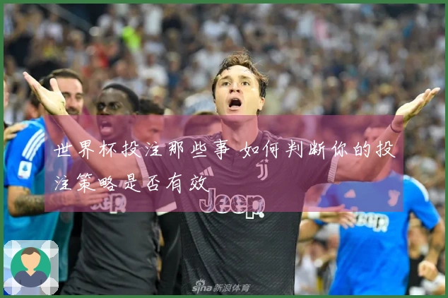 世界杯投注那些事 如何判断你的投注策略是否有效