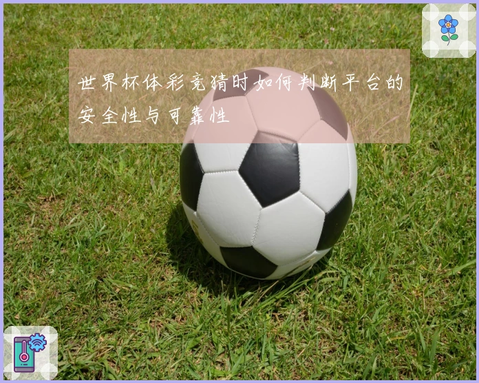 世界杯体彩竞猜时如何判断平台的安全性与可靠性